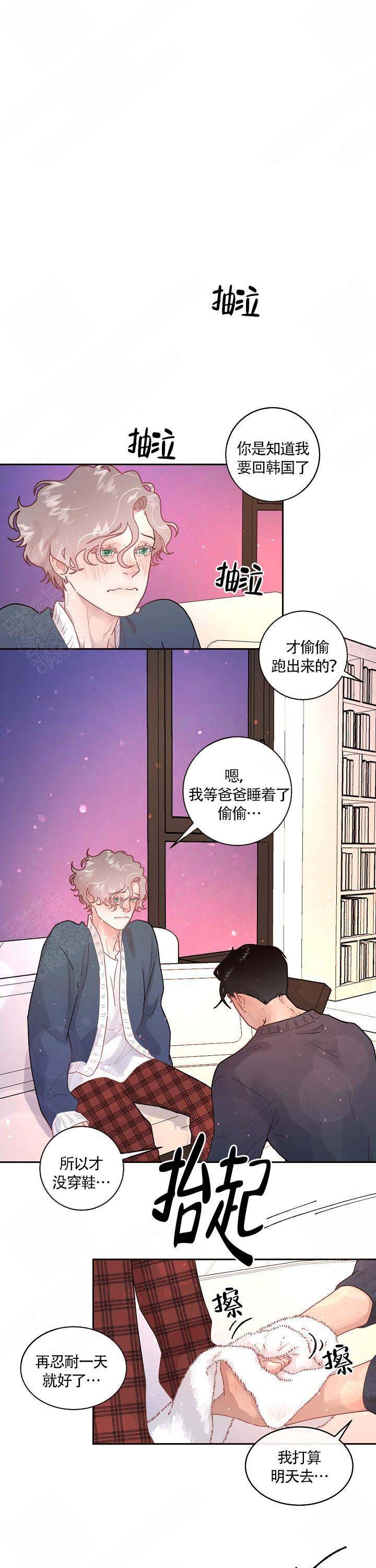 《勾引alpha的方法》漫画最新章节第95话免费下拉式在线观看章节第【1】张图片