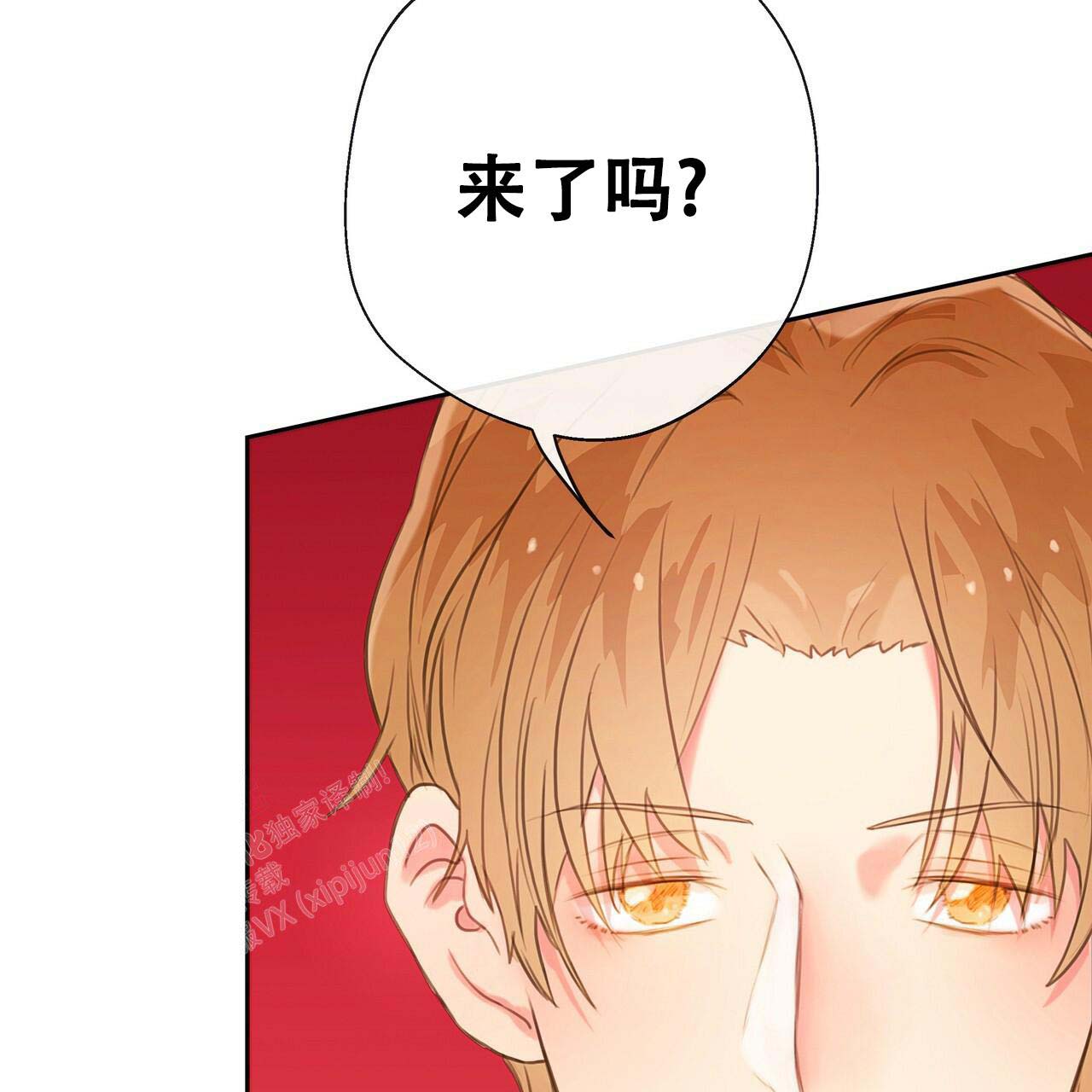 《不许动》漫画最新章节第17话免费下拉式在线观看章节第【8】张图片