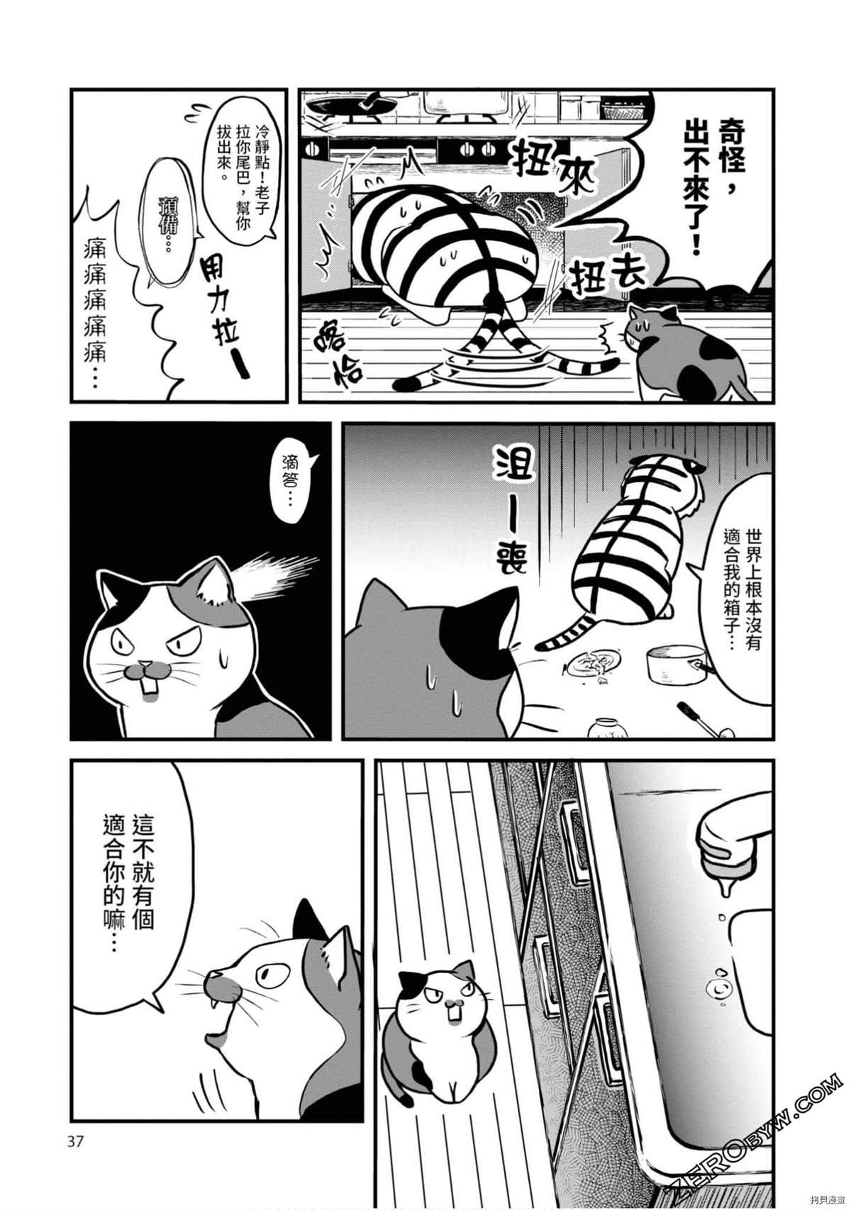 《不愧是猫咪前辈》漫画最新章节第1卷免费下拉式在线观看章节第【36】张图片