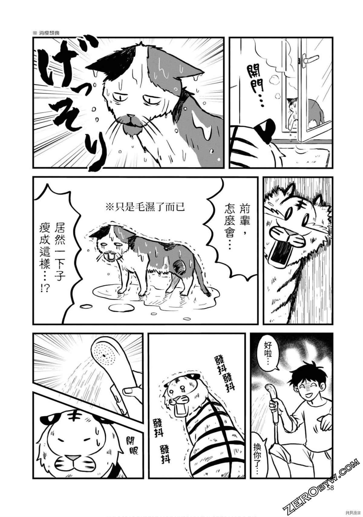 《不愧是猫咪前辈》漫画最新章节第1卷免费下拉式在线观看章节第【57】张图片