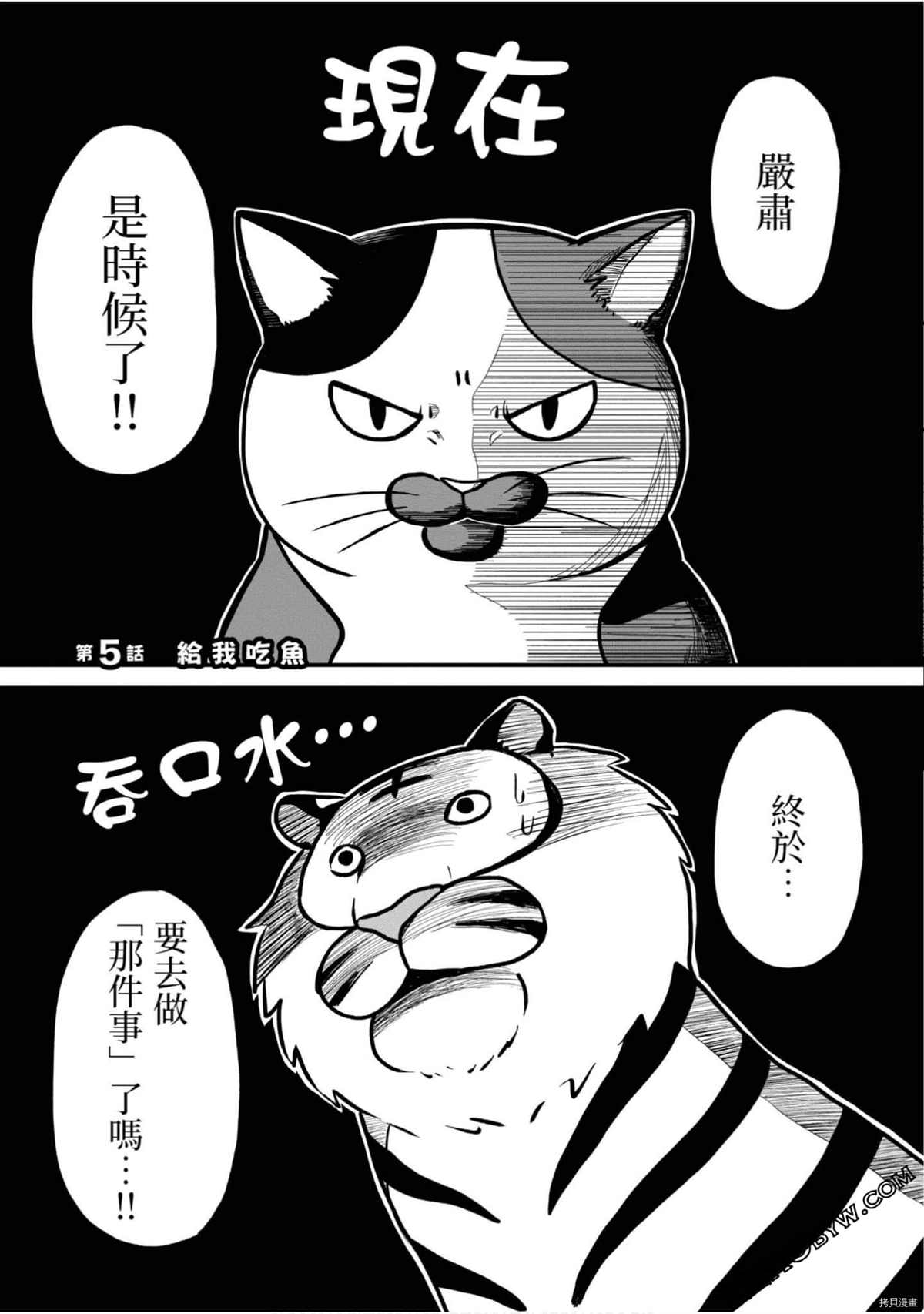 《不愧是猫咪前辈》漫画最新章节第1卷免费下拉式在线观看章节第【40】张图片