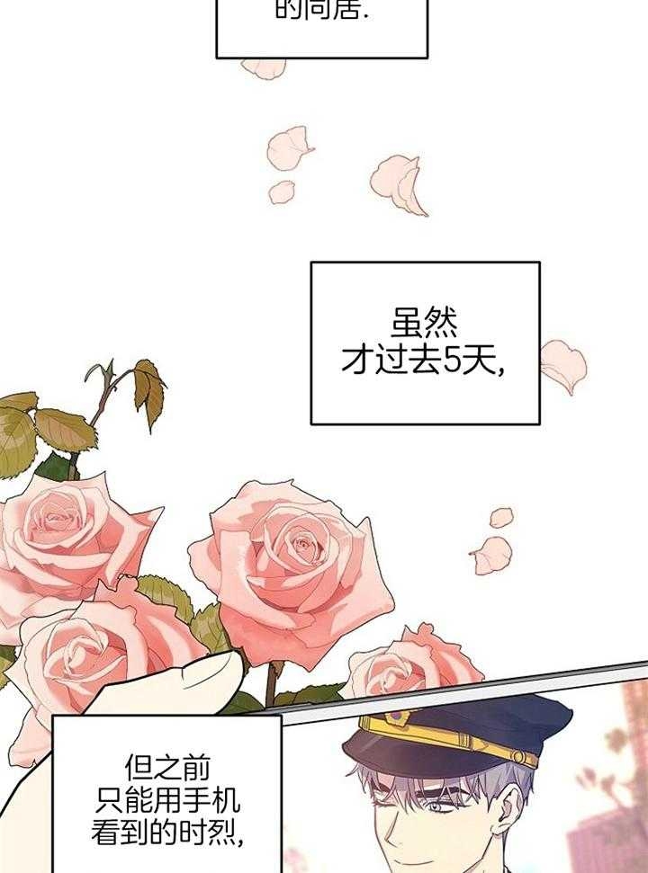 《本命在我学校》漫画最新章节第45话免费下拉式在线观看章节第【15】张图片