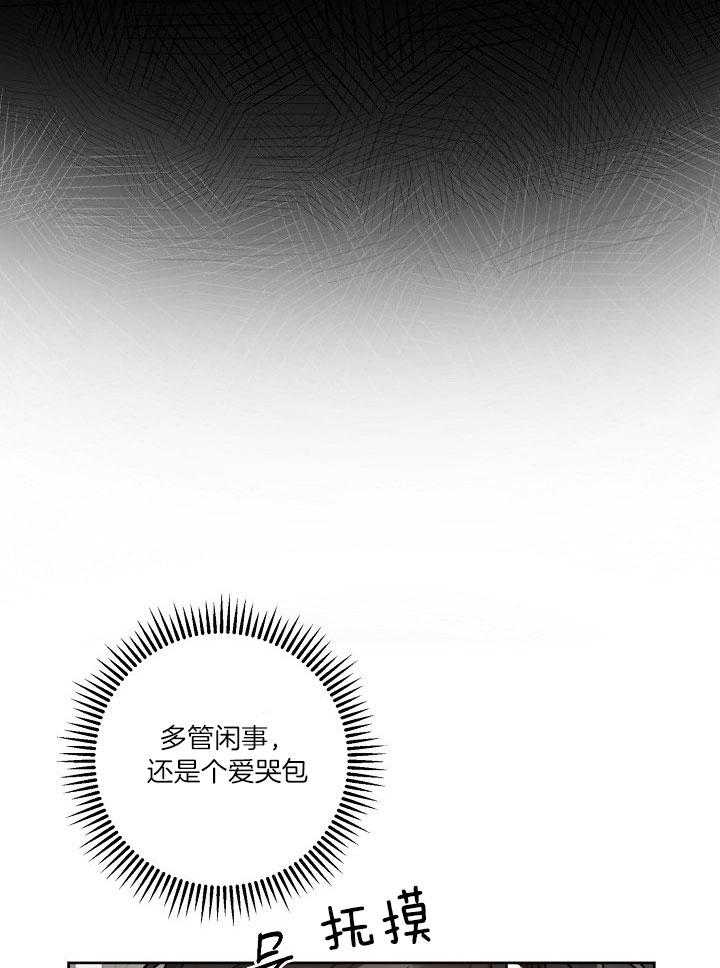 《本命在我学校》漫画最新章节第36话免费下拉式在线观看章节第【15】张图片