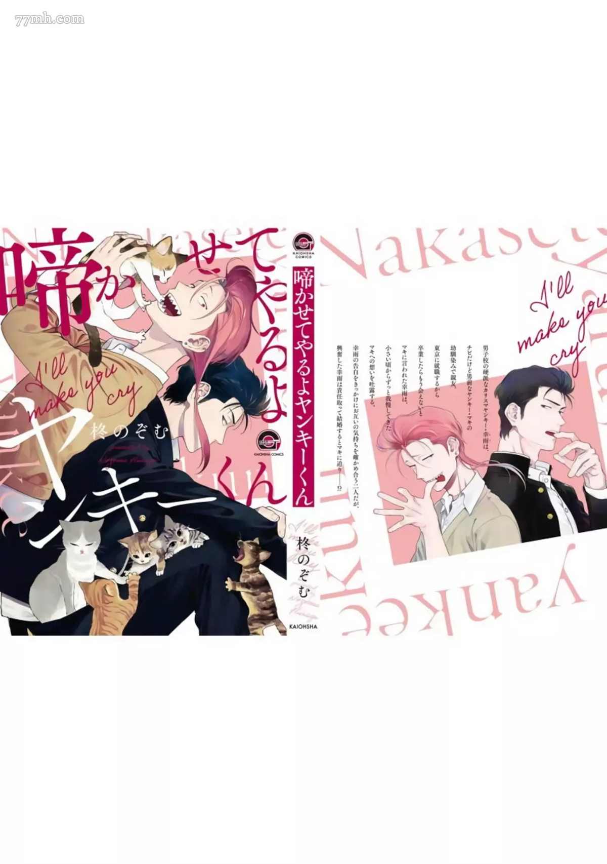 《让你哭噢小混混》漫画最新章节番外免费下拉式在线观看章节第【12】张图片