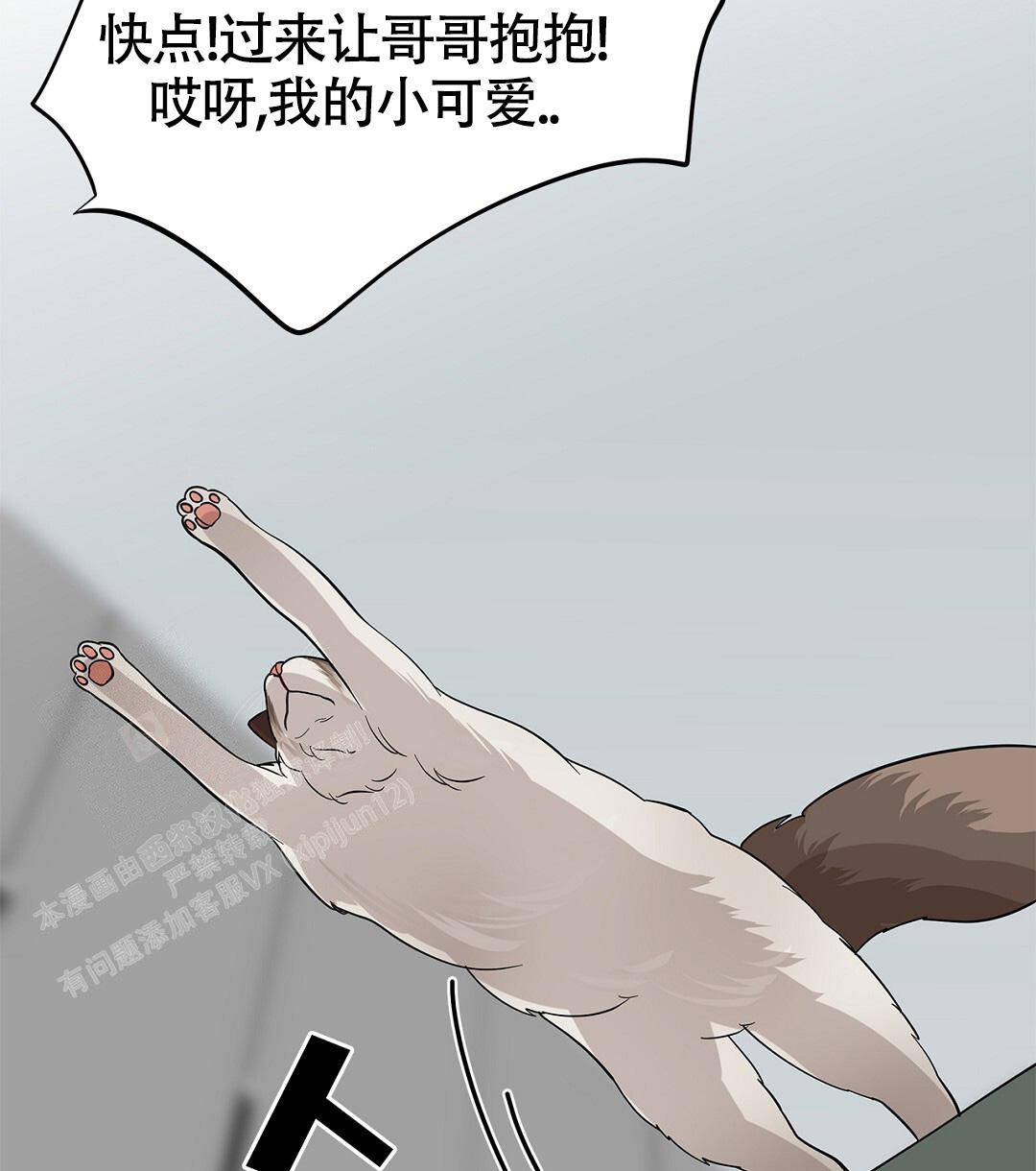 《离陆》漫画最新章节第16话免费下拉式在线观看章节第【17】张图片