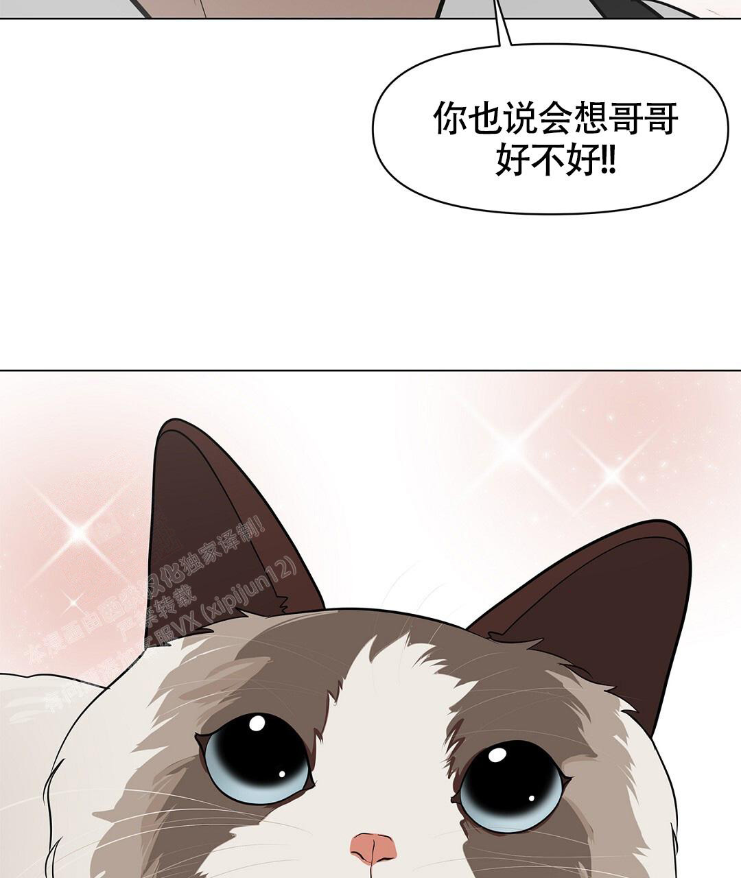 《离陆》漫画最新章节第16话免费下拉式在线观看章节第【12】张图片