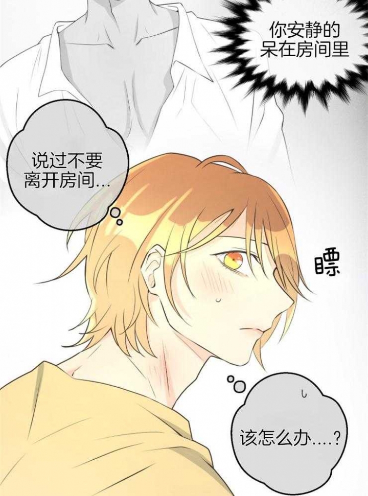 《逃跑计划(I+II季)》漫画最新章节第70话免费下拉式在线观看章节第【17】张图片