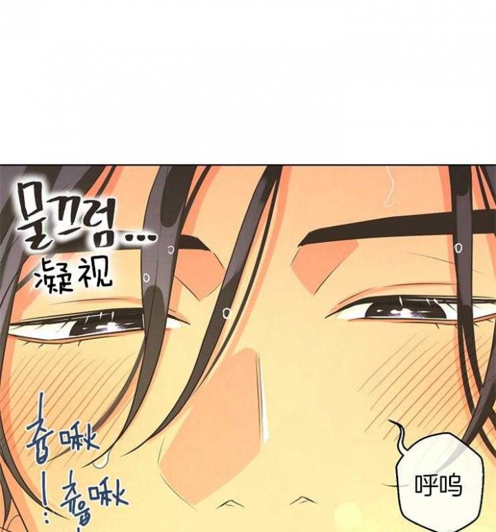 《逃跑计划(I+II季)》漫画最新章节第82话免费下拉式在线观看章节第【1】张图片