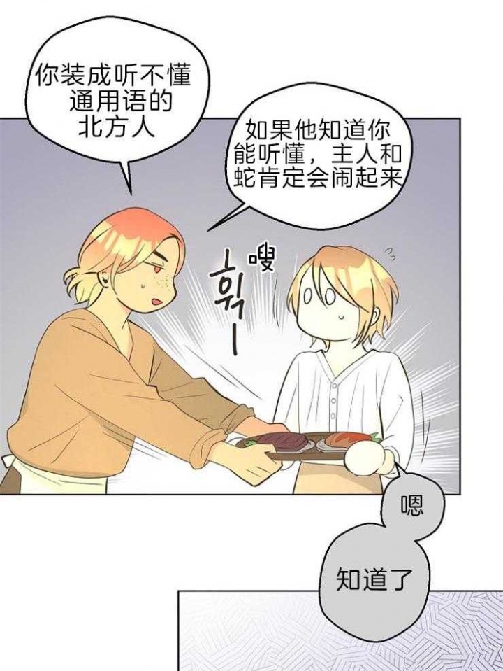 《逃跑计划(I+II季)》漫画最新章节第90话免费下拉式在线观看章节第【11】张图片