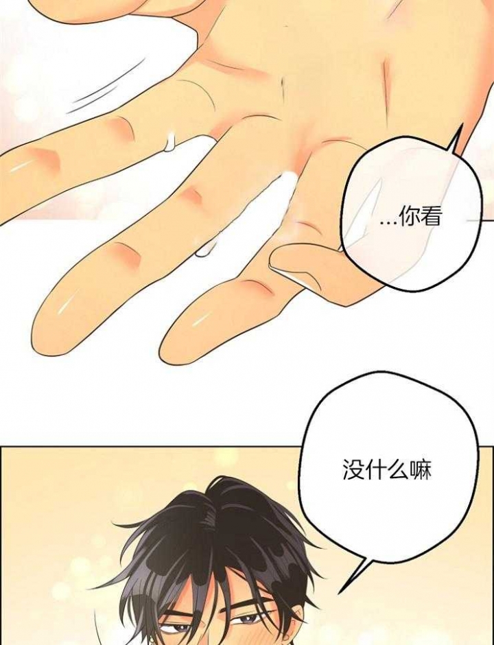 《逃跑计划(I+II季)》漫画最新章节第85话免费下拉式在线观看章节第【19】张图片