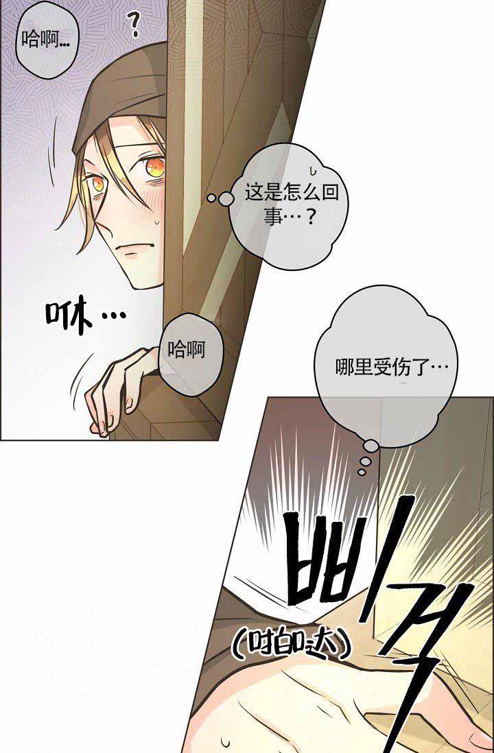 《逃跑计划(I+II季)》漫画最新章节第24话免费下拉式在线观看章节第【7】张图片