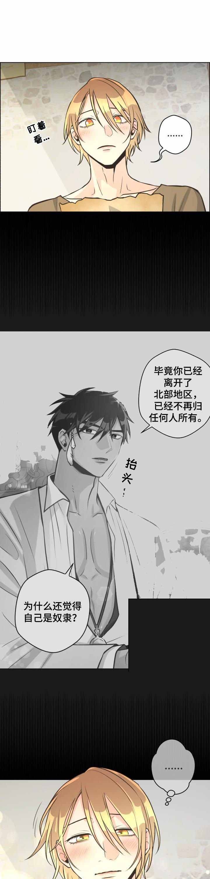 《逃跑计划(I+II季)》漫画最新章节第41话免费下拉式在线观看章节第【7】张图片