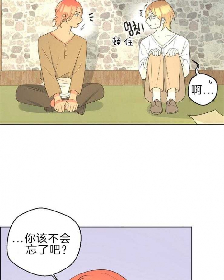 《逃跑计划(I+II季)》漫画最新章节第91话免费下拉式在线观看章节第【20】张图片