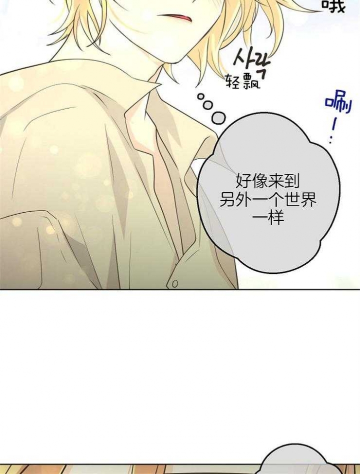 《逃跑计划(I+II季)》漫画最新章节第86话免费下拉式在线观看章节第【11】张图片