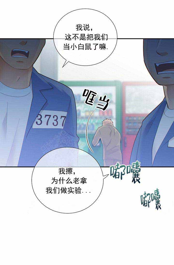 《狗和狼的时间》漫画最新章节第57话免费下拉式在线观看章节第【11】张图片