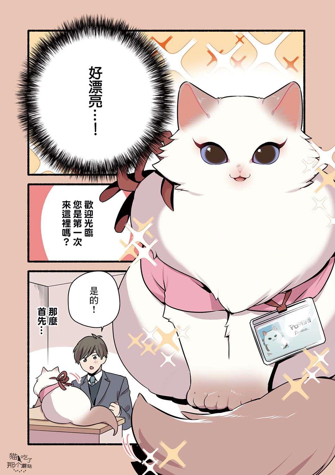 《猫咪按摩师》漫画最新章节第23话免费下拉式在线观看章节第【6】张图片