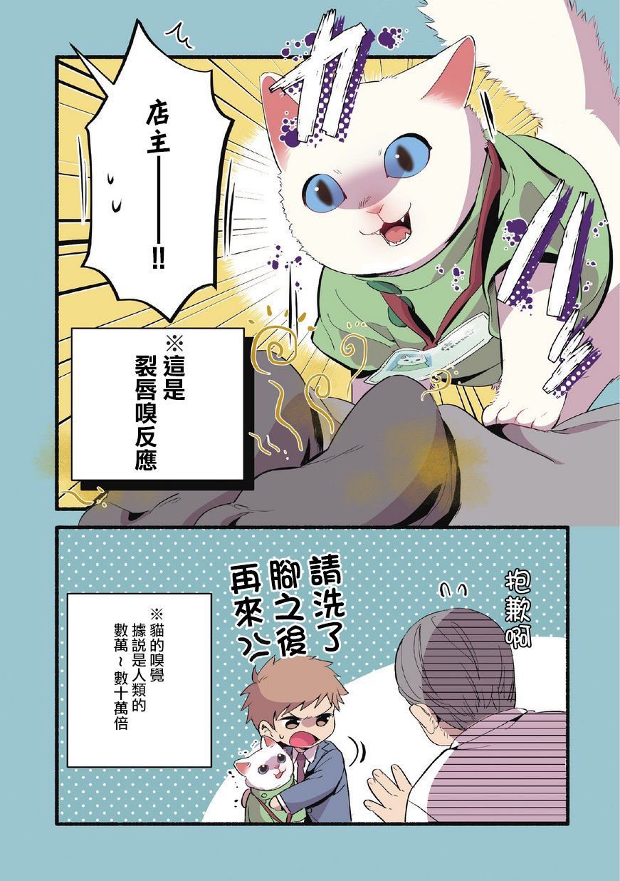 《猫咪按摩师》漫画最新章节第8话免费下拉式在线观看章节第【11】张图片