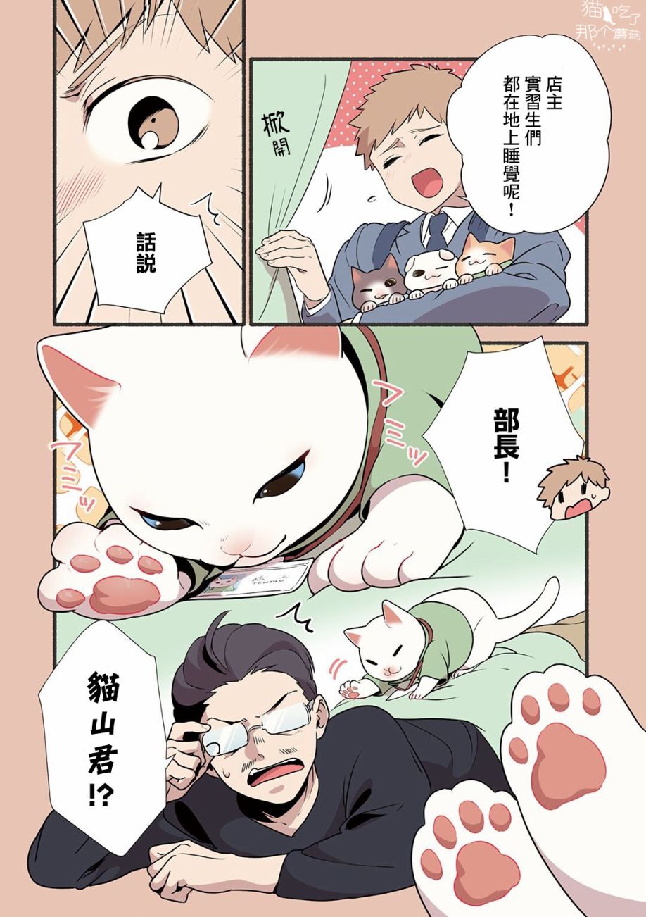 《猫咪按摩师》漫画最新章节第17话免费下拉式在线观看章节第【4】张图片