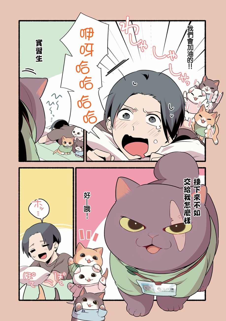 《猫咪按摩师》漫画最新章节第19话免费下拉式在线观看章节第【4】张图片