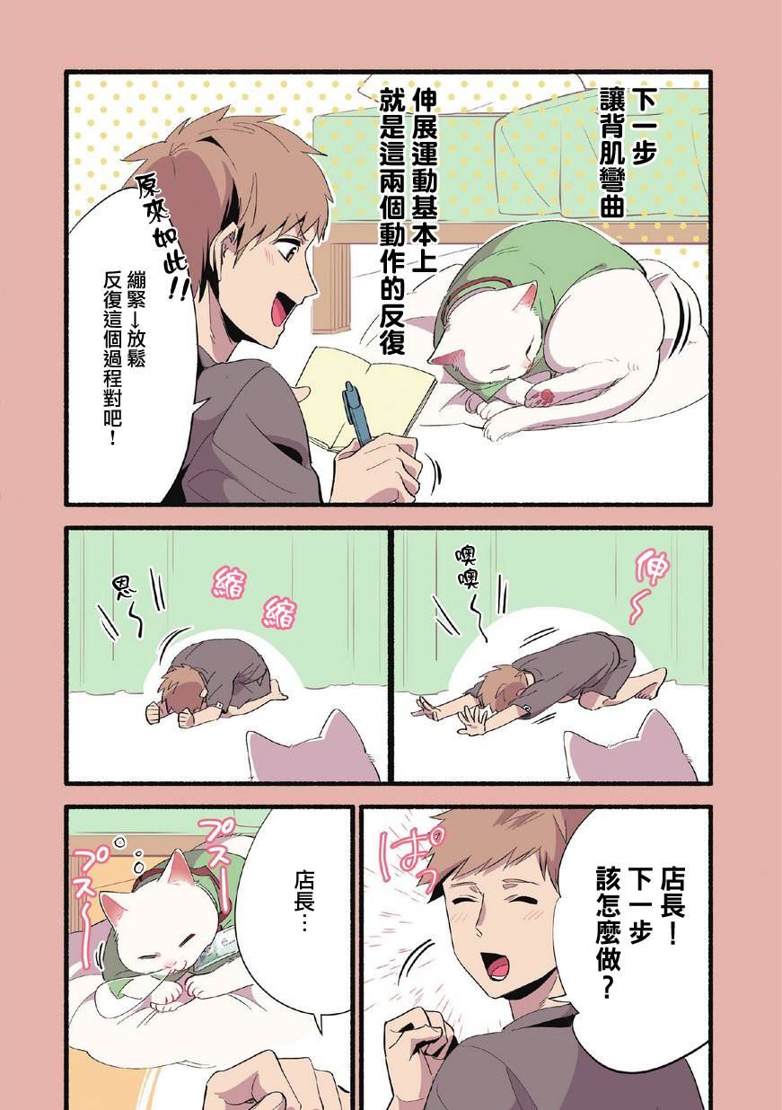 《猫咪按摩师》漫画最新章节第5话免费下拉式在线观看章节第【2】张图片