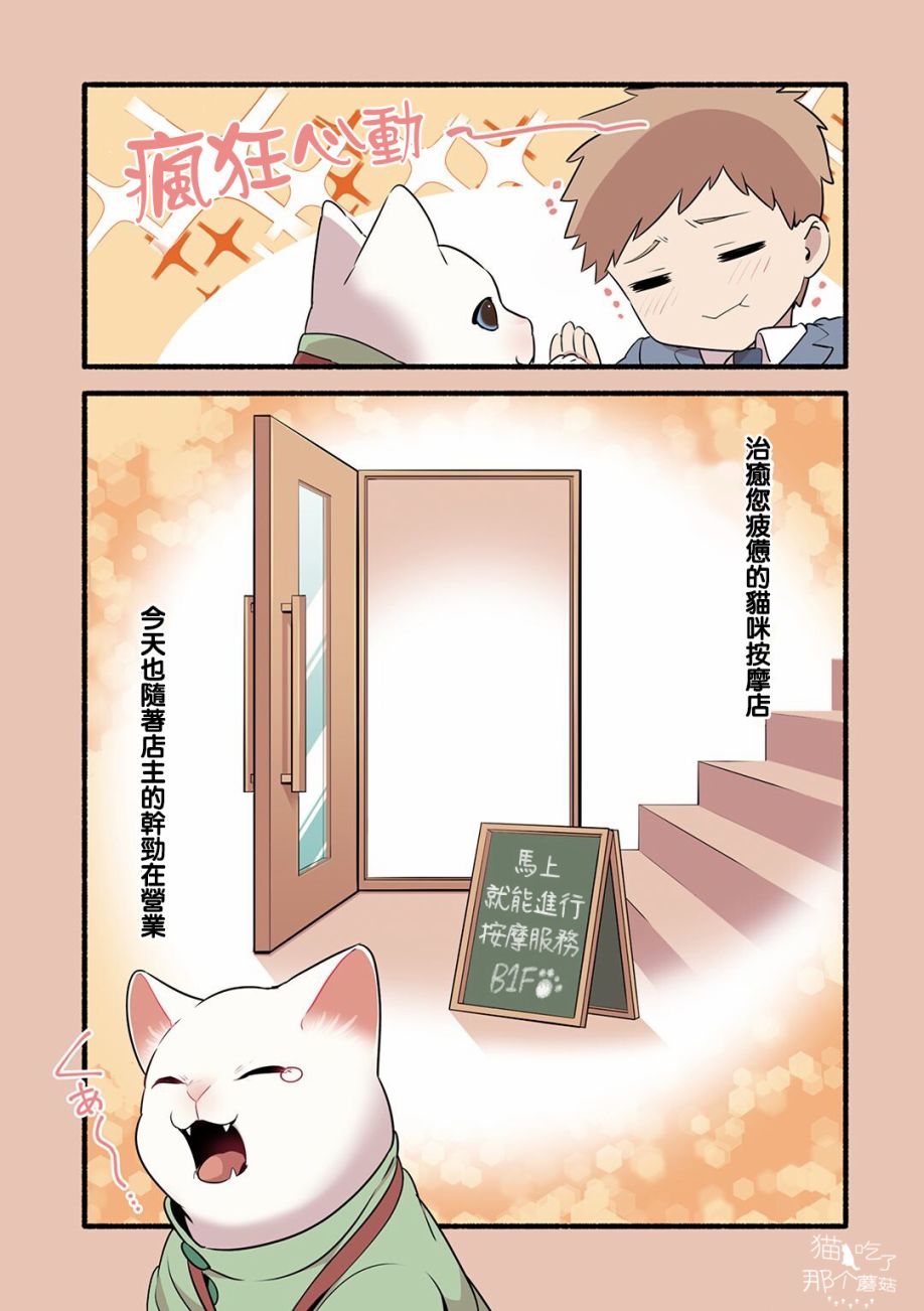 《猫咪按摩师》漫画最新章节第17话免费下拉式在线观看章节第【7】张图片