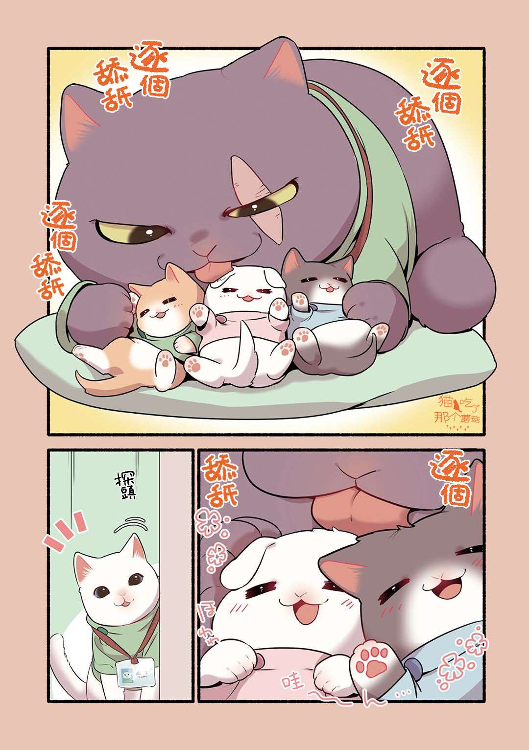 《猫咪按摩师》漫画最新章节第20话免费下拉式在线观看章节第【5】张图片