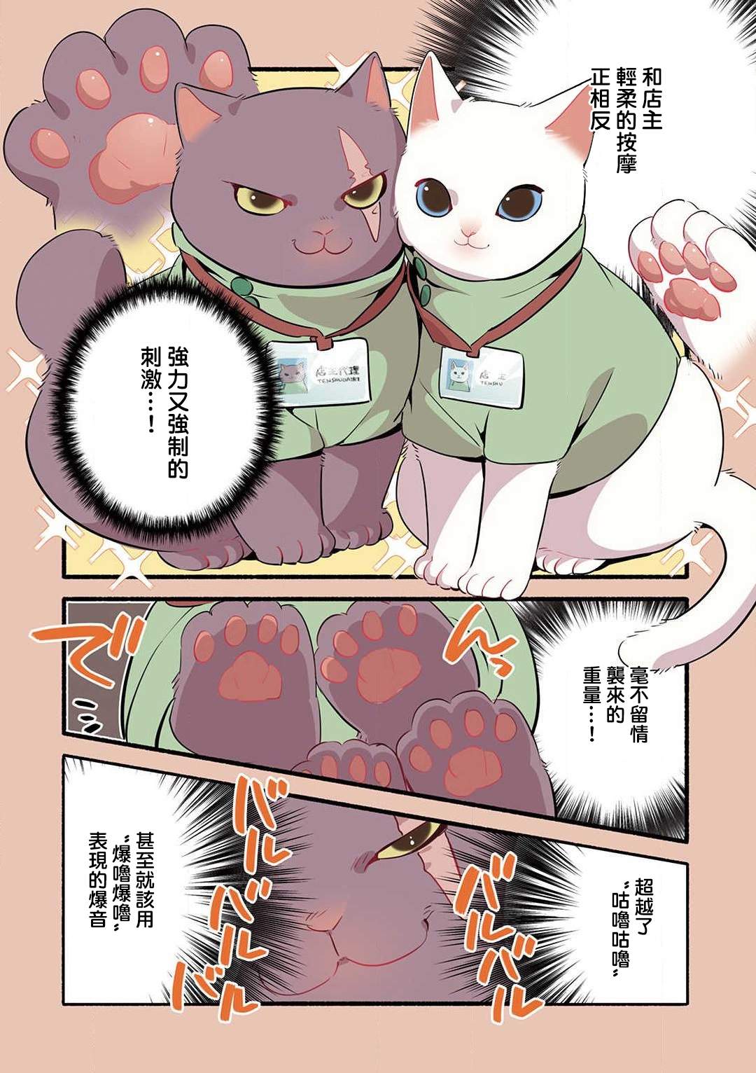 《猫咪按摩师》漫画最新章节第16话免费下拉式在线观看章节第【6】张图片