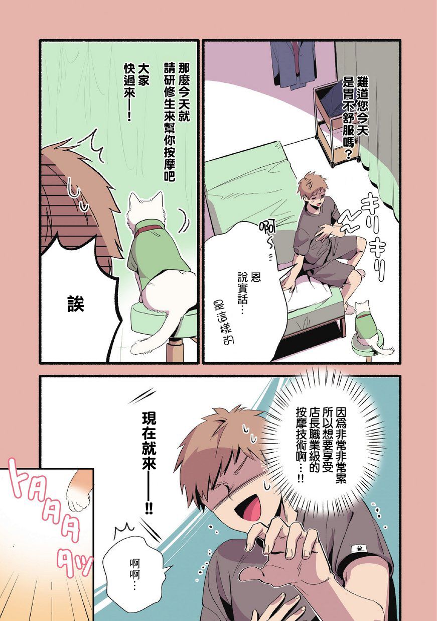 《猫咪按摩师》漫画最新章节第2话免费下拉式在线观看章节第【4】张图片