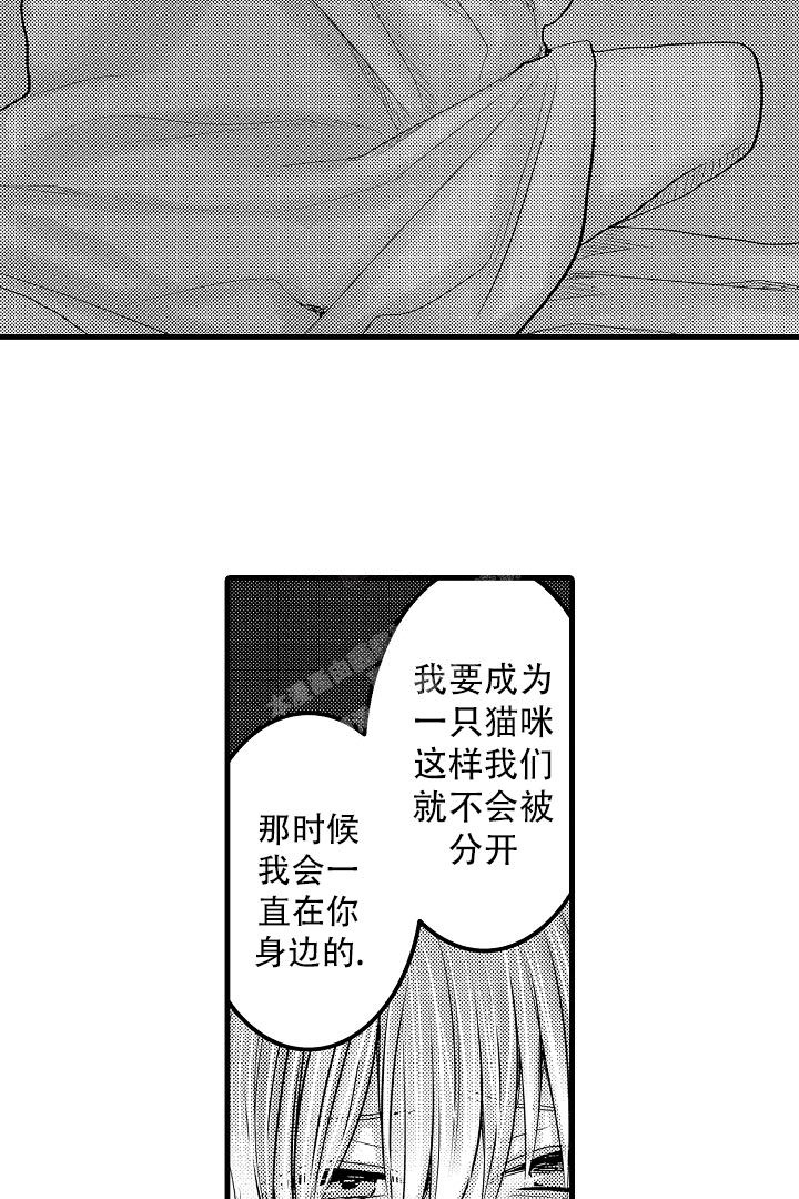 《不眠之夜》漫画最新章节第29话免费下拉式在线观看章节第【17】张图片