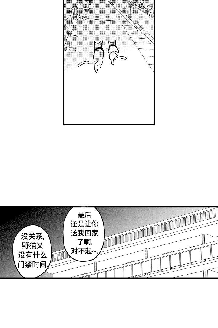 《不眠之夜》漫画最新章节第12话免费下拉式在线观看章节第【13】张图片