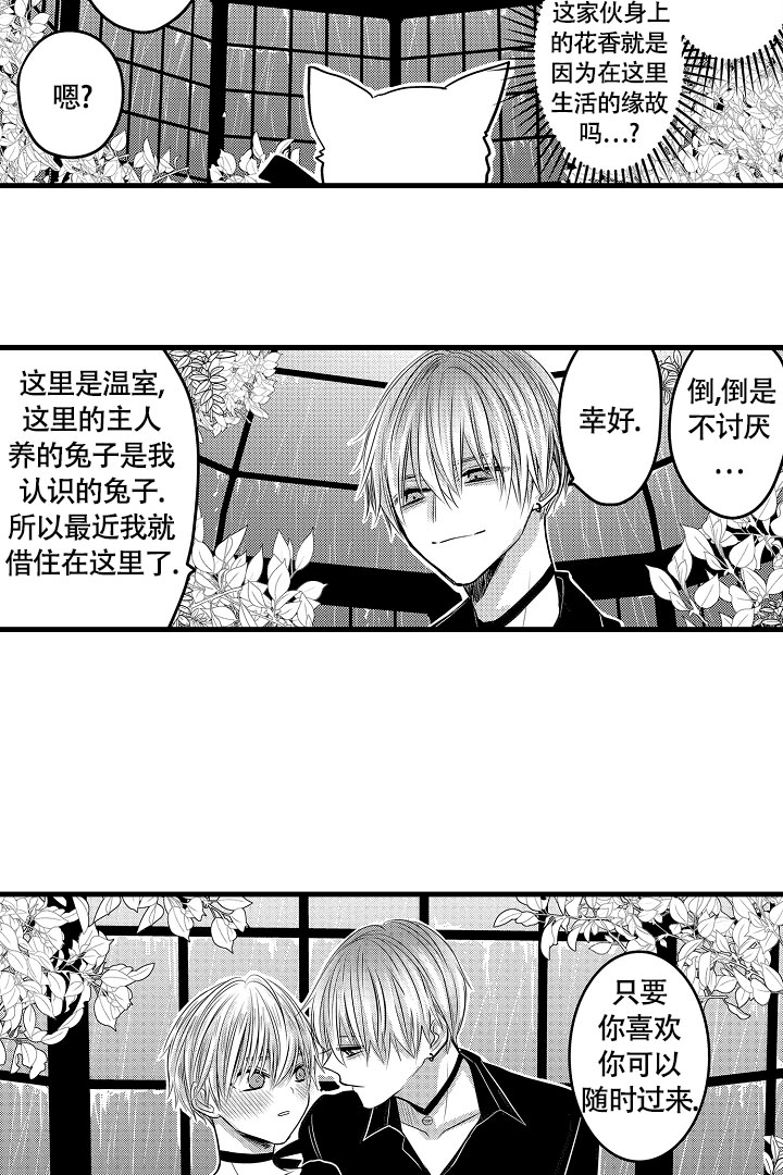 《不眠之夜》漫画最新章节第3话免费下拉式在线观看章节第【11】张图片