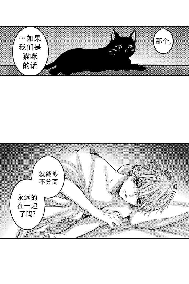 《不眠之夜》漫画最新章节第29话免费下拉式在线观看章节第【14】张图片