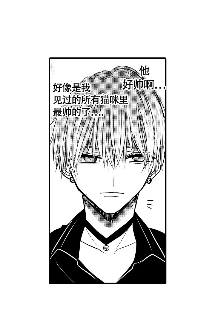 《不眠之夜》漫画最新章节第3话免费下拉式在线观看章节第【8】张图片