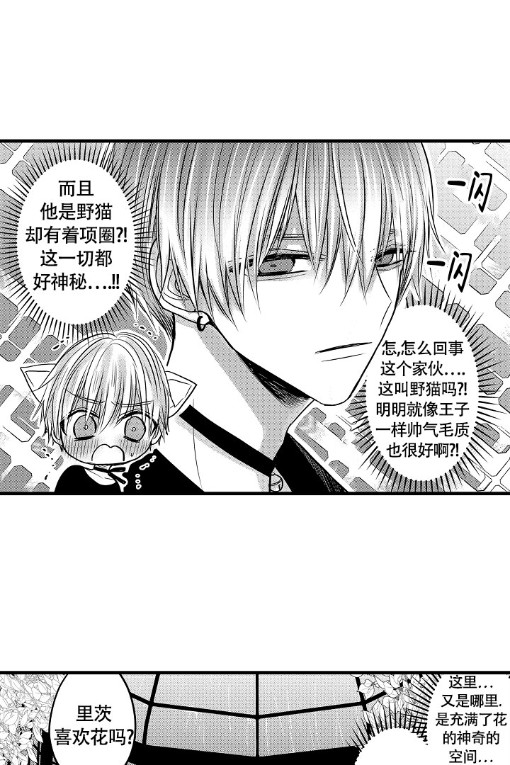 《不眠之夜》漫画最新章节第3话免费下拉式在线观看章节第【10】张图片