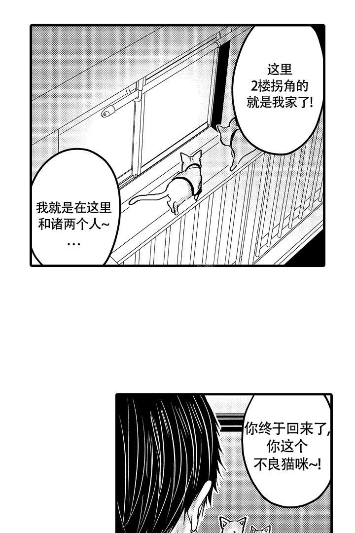 《不眠之夜》漫画最新章节第12话免费下拉式在线观看章节第【14】张图片