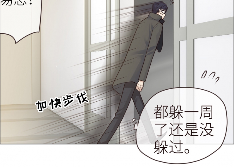 《相濡易木》漫画最新章节第35话免费下拉式在线观看章节第【19】张图片