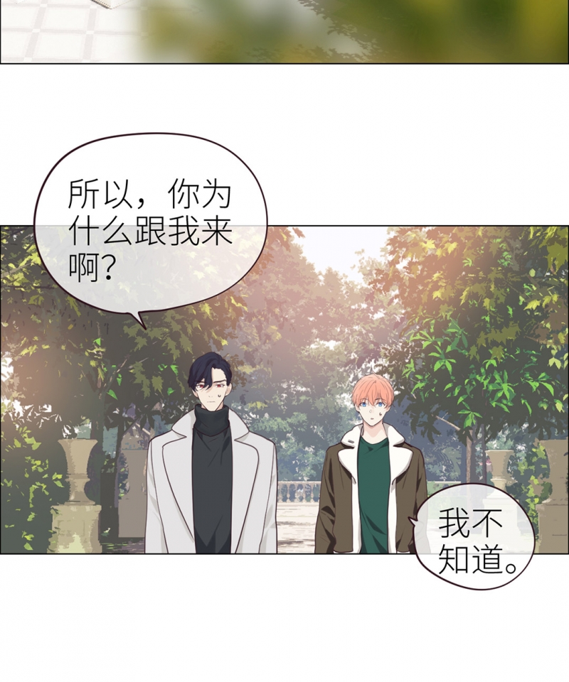 《相濡易木》漫画最新章节第46话免费下拉式在线观看章节第【21】张图片