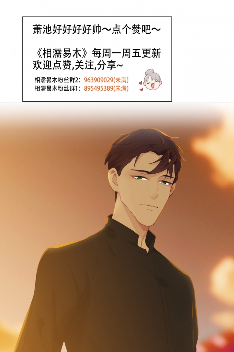 《相濡易木》漫画最新章节第154话免费下拉式在线观看章节第【10】张图片