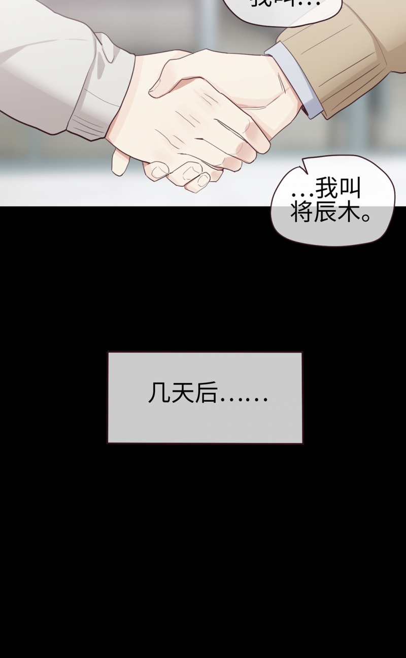 《相濡易木》漫画最新章节第51话免费下拉式在线观看章节第【7】张图片