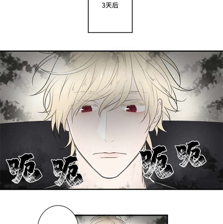 《不朽之躯》漫画最新章节第5话免费下拉式在线观看章节第【15】张图片