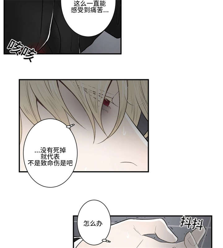 《不朽之躯》漫画最新章节第36话免费下拉式在线观看章节第【19】张图片