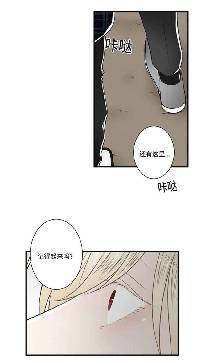 《不朽之躯》漫画最新章节第66话免费下拉式在线观看章节第【13】张图片