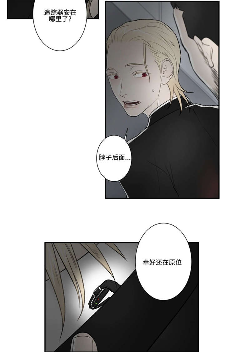 《不朽之躯》漫画最新章节第60话免费下拉式在线观看章节第【31】张图片