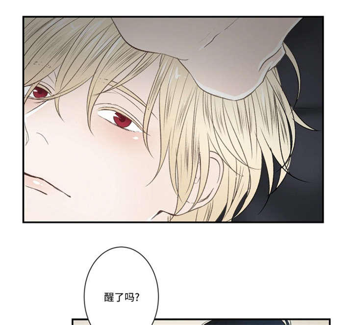 《不朽之躯》漫画最新章节第56话免费下拉式在线观看章节第【1】张图片