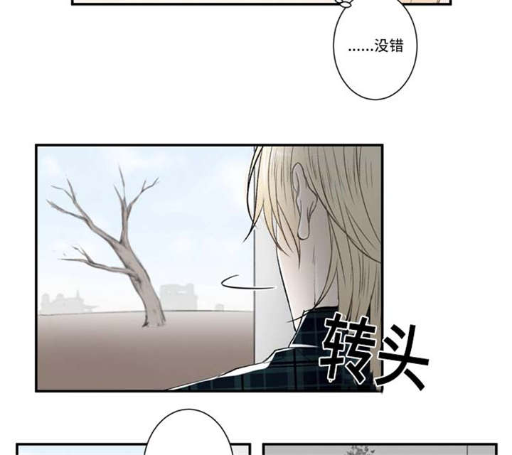 《不朽之躯》漫画最新章节第66话免费下拉式在线观看章节第【19】张图片