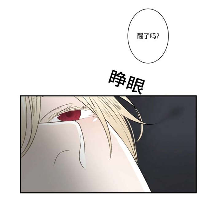 《不朽之躯》漫画最新章节第64话免费下拉式在线观看章节第【41】张图片