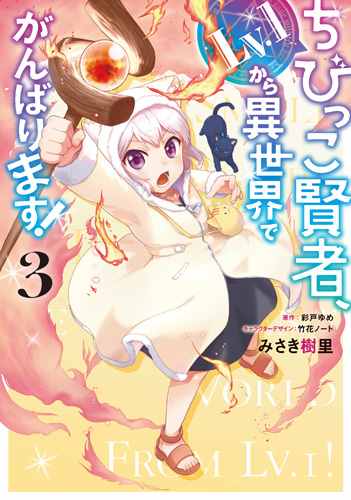 《小不点贤者从Lv.1开始在异世界奋斗》漫画最新章节第22话免费下拉式在线观看章节第【26】张图片