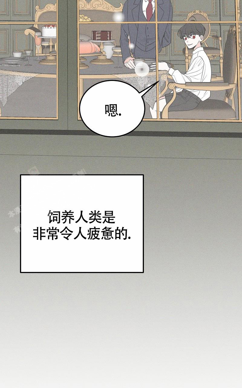 《影子公馆》漫画最新章节第4话免费下拉式在线观看章节第【11】张图片