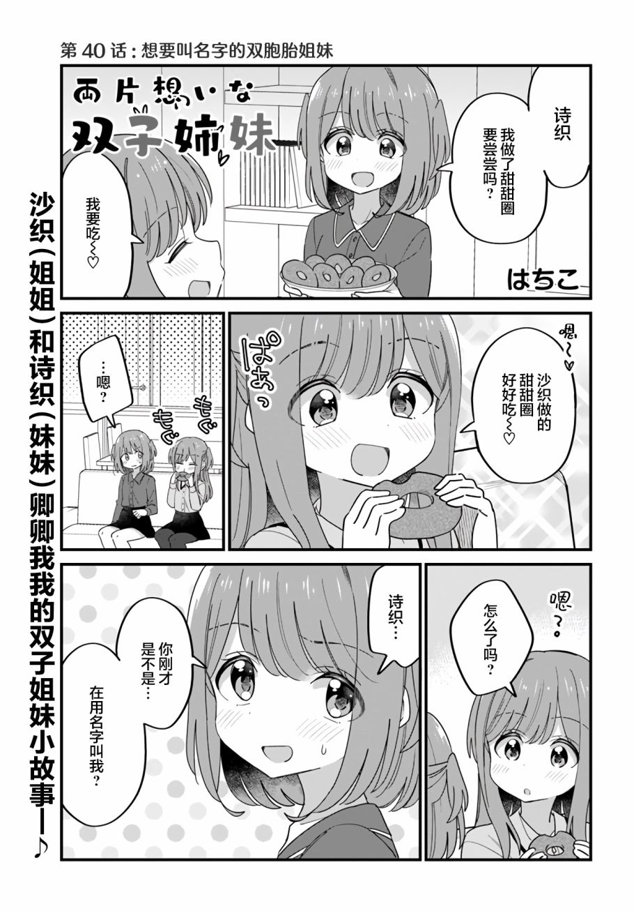 《双向届不到的双子姐妹》漫画最新章节番外40免费下拉式在线观看章节第【1】张图片