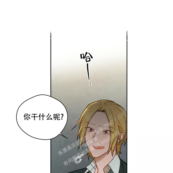 《夜的奖励》漫画最新章节第121话免费下拉式在线观看章节第【8】张图片